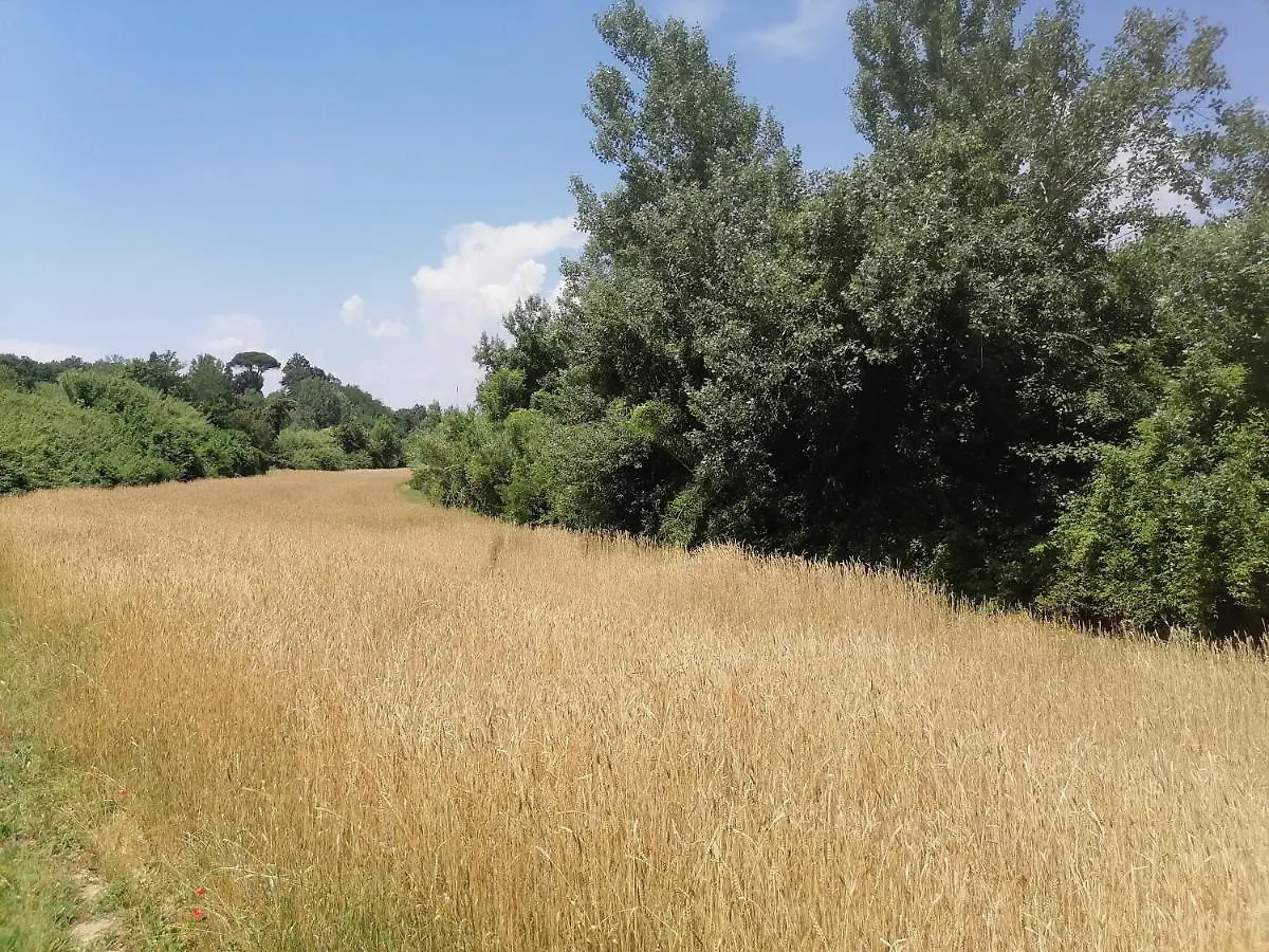 Appartamento Az.Agricola Agriturismo La Locanda di LANN Fucecchio