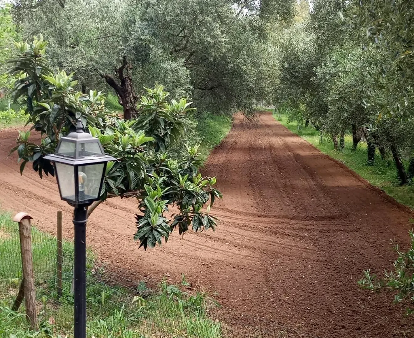 Appartamento Az.Agricola Agriturismo La Locanda di LANN Fucecchio