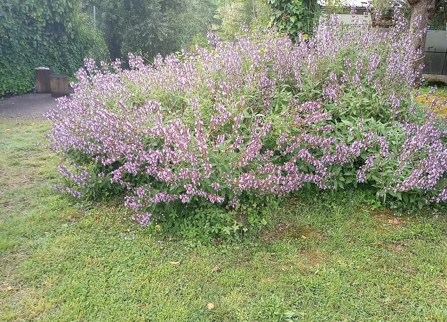 Appartamento Az.Agricola Agriturismo La Locanda di LANN Fucecchio